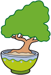 Drzewo w miniaturze. Japońska sztuka bonsai Gra