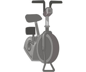 Ergometr rowerowy, urządzenia siłowni Gra