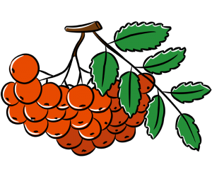 Pomarańczowy kolor jagody z drzewa jesienią Gra