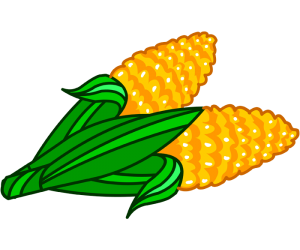 Uroczystości na żniwa, kukurydza Gra