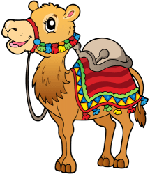 Dromader, wielbłąd arabski ma jeden garb Gra
