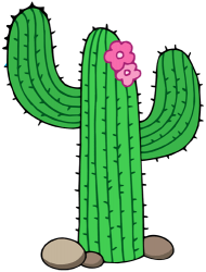 Kaktus z Pustyni Sonora, saguaro Gra