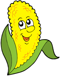 Kukurydza kolby, rdzeń kukurydzy. Kolba kukurydzy Gra