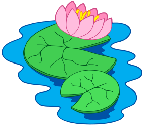 Nenufar z kwiatów. Roślin wodnych z kwiatów Gra