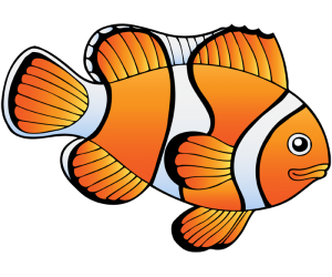 Clown ryb, ryby od cieplej wody Gra
