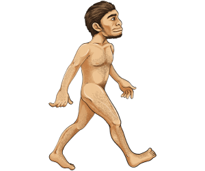 Homo erectus, korzystanie z narzędzi i ogień Gra