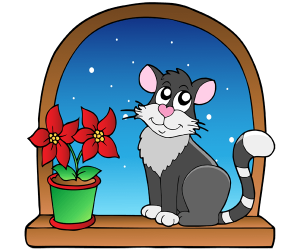 Kot w oknie z kwiatem Bożego Narodzenia Gra