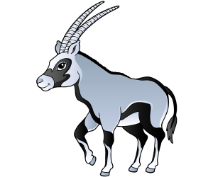 Oryks południowy, duże antylopy Oryx gazella Gra