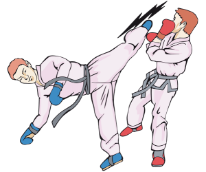 Taekwondo,koreańskie sztuki walki,sport olimpijski Gra